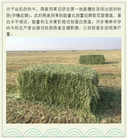 微信截图_20220530214946.png